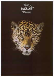 jaguar020_199308_01