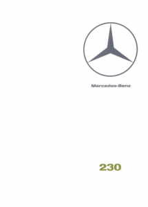 mercedes412_196702_01