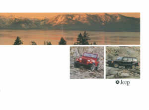 jeep020_198900_10