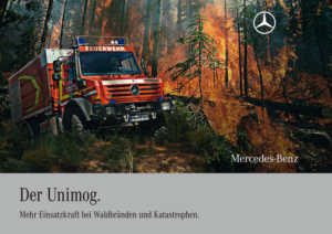 mercedesnfz612_200909_20